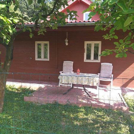 Rustic Country House In Snagov Leilighet Eksteriør bilde