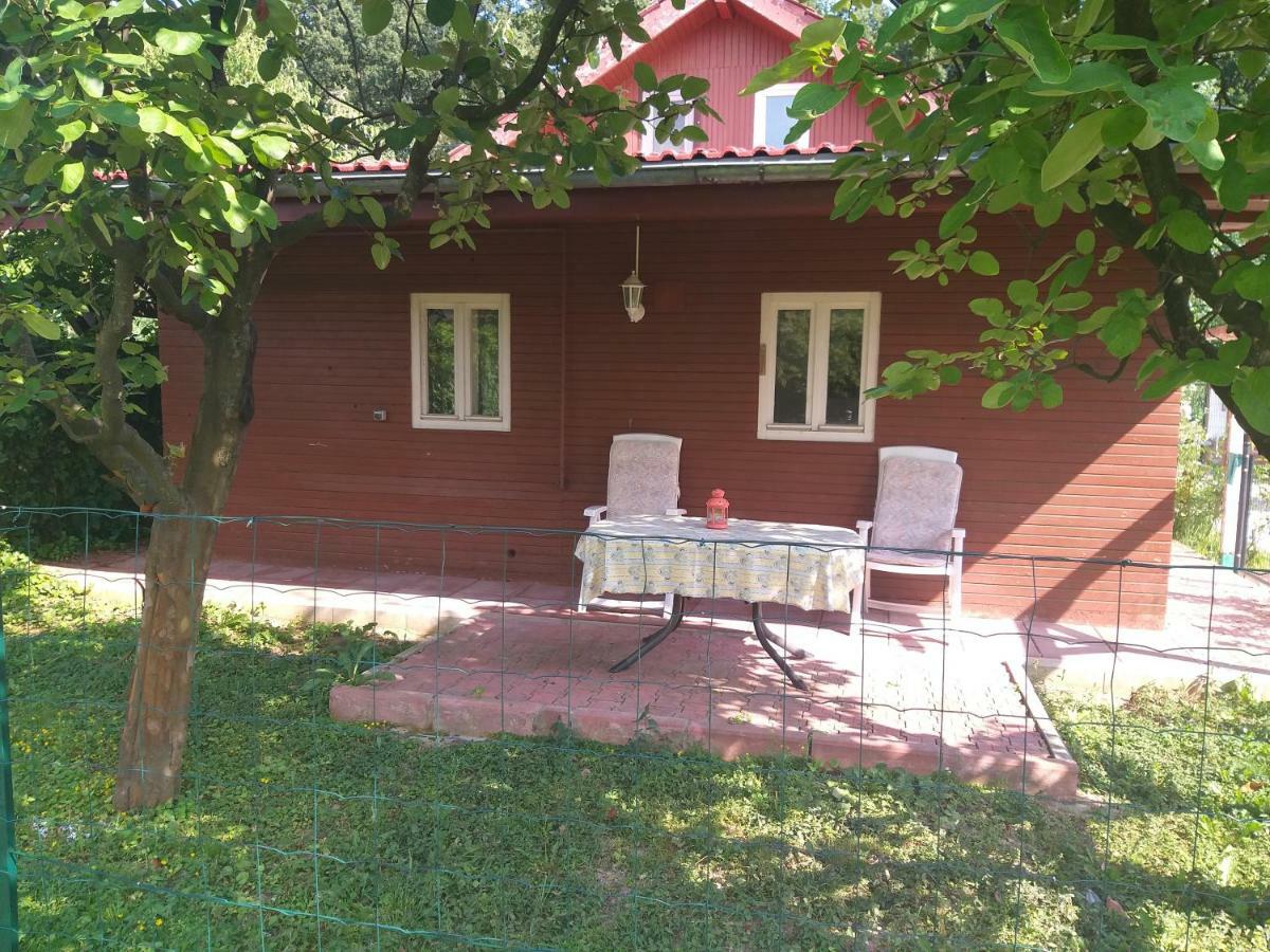 Rustic Country House In Snagov Leilighet Eksteriør bilde
